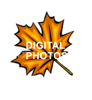 DIGITAL PHOTOS